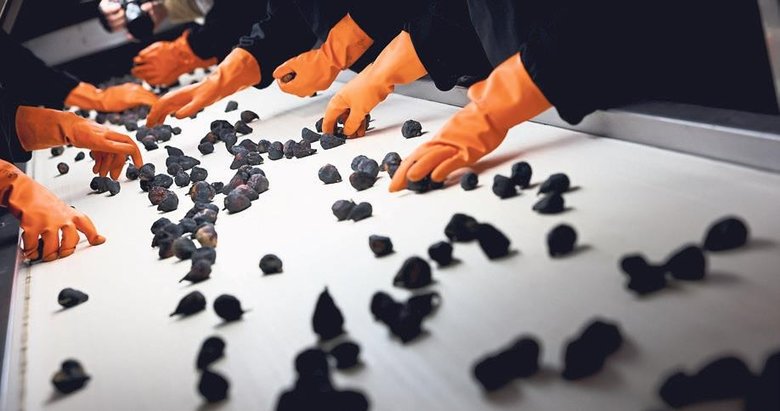 ‘Siyah orak’ dünya pazarına iddialı giriyor