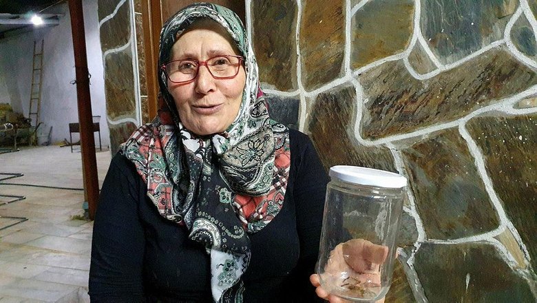 Tehlikeli ’Çöl Örümceği’ Aydın’da ortaya çıktı