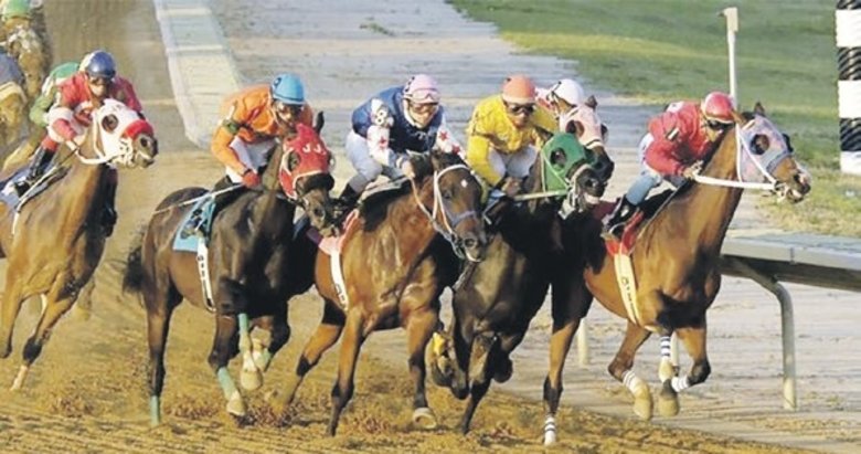 Altılı ganyan 71.652,45 lira verdi