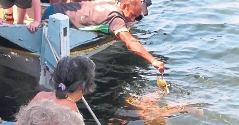 Caretta caretta beslemenin cezası 43 bin lira