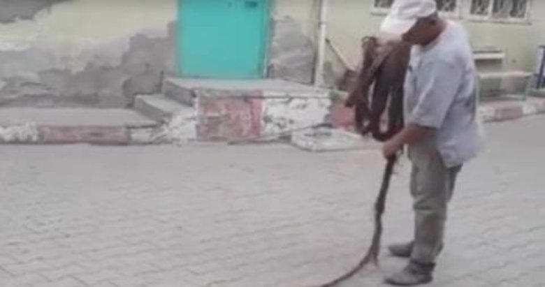 İçme suyu borusundan çıkan 9 metrelik ağaç kökü şaşırttı