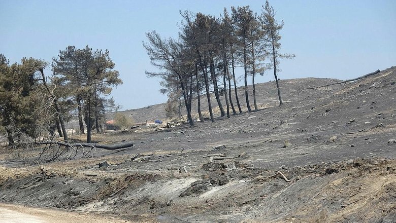 Çanakkale yangınında ön soruşturma tamamlandı… Çıkış nedeni belli oldu!