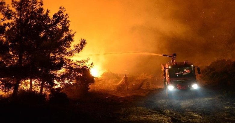 Afyonkarahisar’da ormanlık alanlarda ateş yakılması yasaklandı