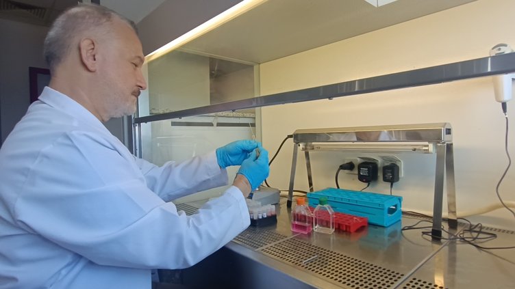 Manisa hastalık riskiyle karşı karşıya! Ölümcül olabilir