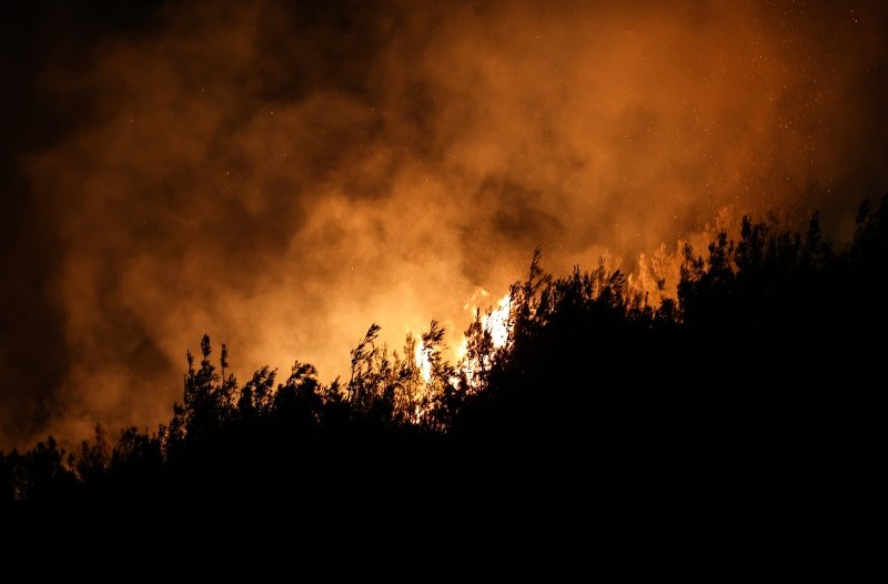 İzmir Foça’daki orman yangını kontrol altına alındı!