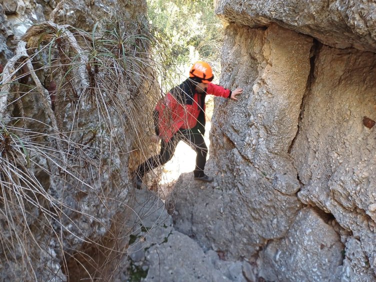 Oyuktan gelen sesler üzerine harekete geçtiler! Manzara şaşkına çevirdi