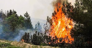 Denizli’de sezonun ilk orman yangını