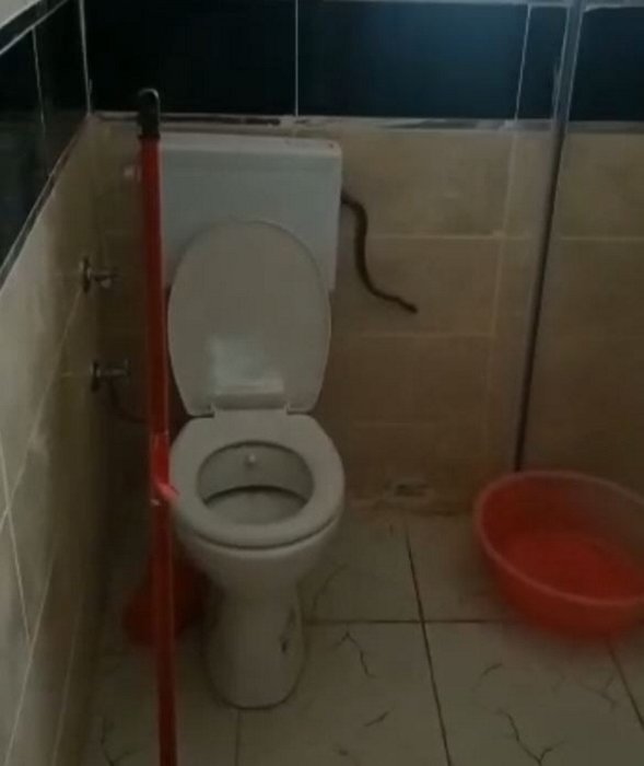 Yüzünü yıkamak için banyoya girdi hayatının şokunu yaşadı