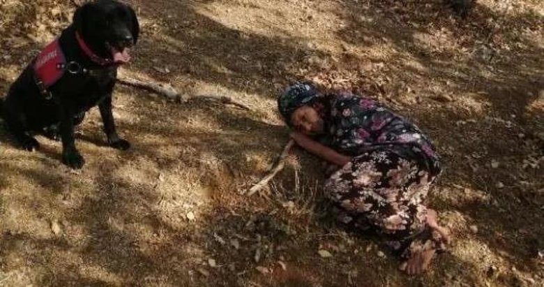 Ayvacık’ta kaybolan 83 yaşındaki kadın jandarma tarafından sağ bulundu