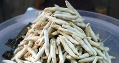 Faydası dillere destan... Sigarayı bile unutturuyor! Kenger sakızının faydaları inanılmaz!