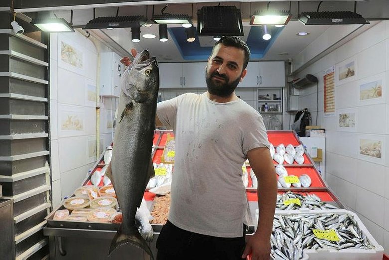 Çanakkale’de 6 kiloluk sırtıkara 900 liradan satışa sunuldu