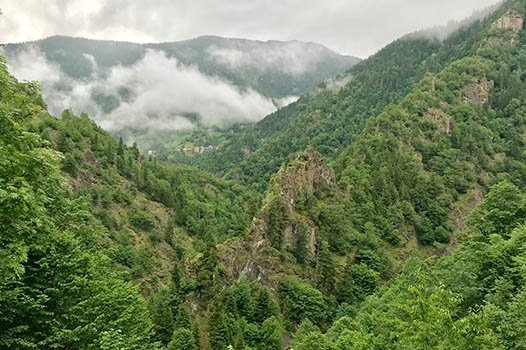 7 milyon hektarda yeşeren umut