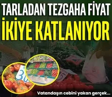 Tarladan tezgaha fiyat ikiye katlanıyor