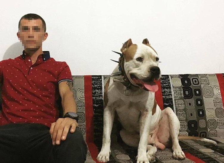 Denizli’de köpek çiftliğindeki vahşi cinayette yeni gelişme