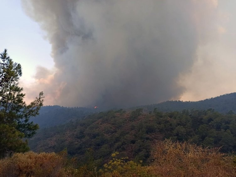 Marmaris’teki orman yangını şiddetlendi! Alevler Okluk Koyu’na ilerliyor