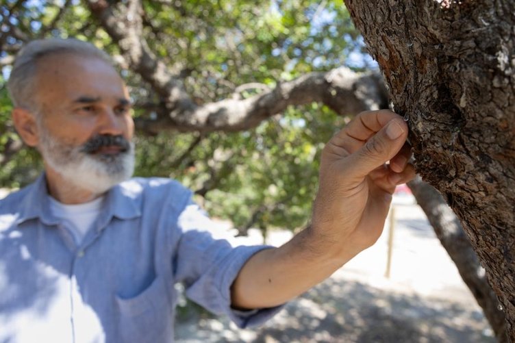 Çeşme sakızı Yunanistan’ın pabucunu dama atıyor