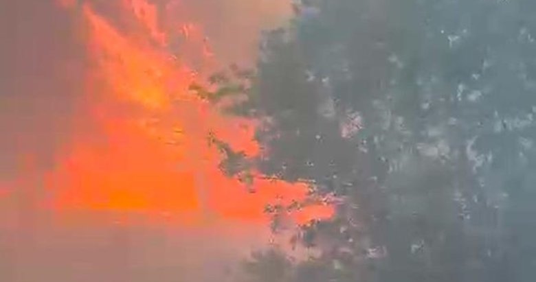Manisa’da orman yangını!