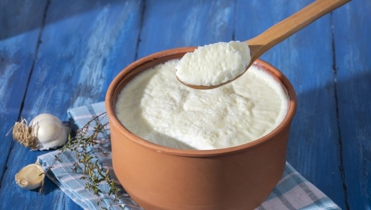 Yoğurt nasıl mayalanır? İşte taş gibi yoğurt yapmanın formülü...
