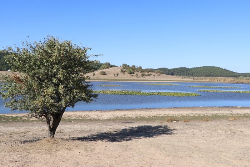 Kuş cenneti Yayla Gölü’nde 20 yılın en düşük su seviyesi