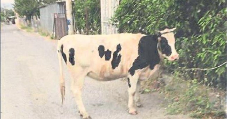 İnekli paylaşıma öfke kontrolü eğitimi cezası