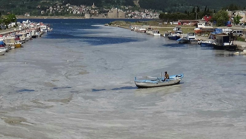 Marmara Denizi’ndeki müsilaj rüzgarın etkisiyle yüzeye çıktı