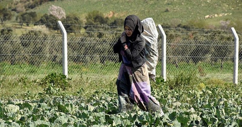 Aliağalı kadın çiftçilerden ilk hasat