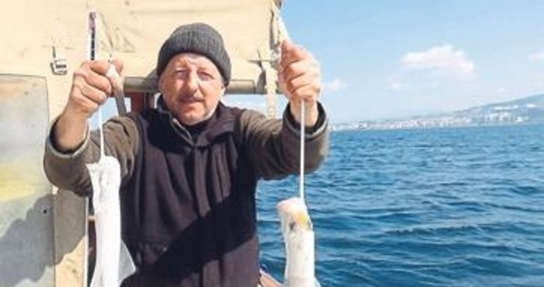 Balıkçıların yüzünü kalamar güldürdü