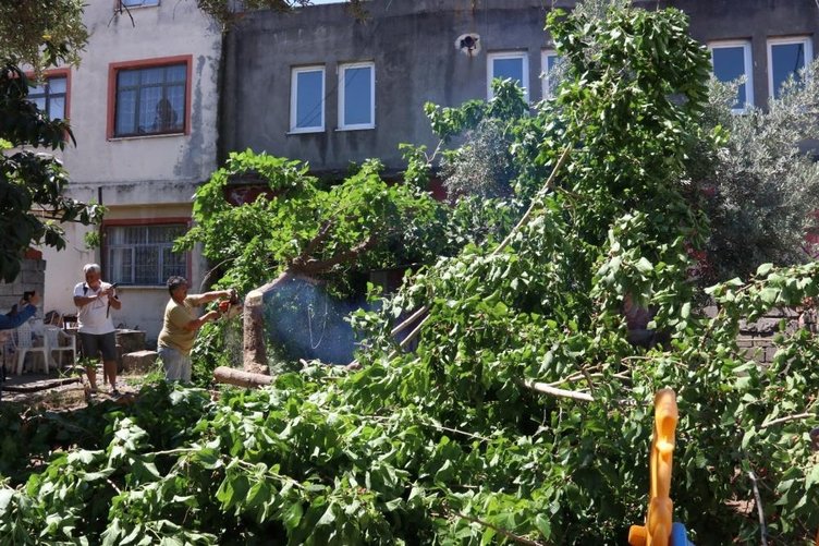 Fethiye’de piton yılanı nöbeti! Mahalleli diken üstünde