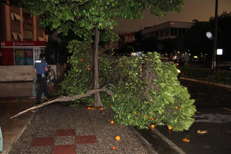 Aydın’da etkili olan fırtına ortalığı birbirine kattı