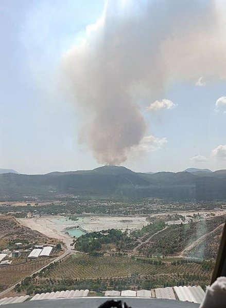 Menderes’te orman yangını! Ekipler alarma geçti