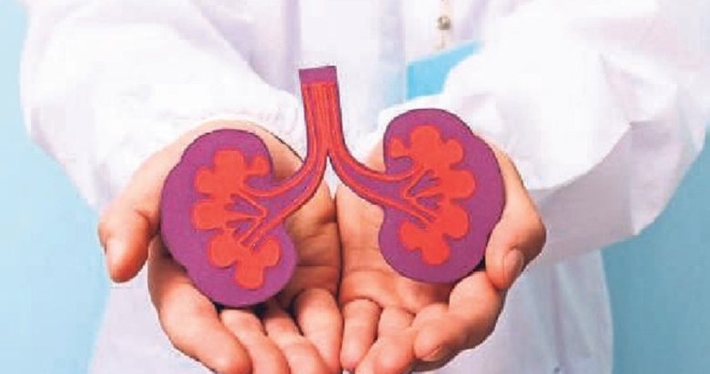 Çevresel faktörler böbrek hastalığı riskini artırıyor