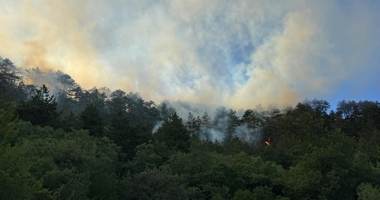 Son dakika: Bakan Tunç duyurdu: Orman yangınlarıyla ilgili 17 gözaltı