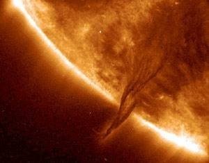 Dünyanın en ilginç kahininden korkunç kehanet