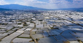 O hayvan için seferber oldular! İşte kurtarılma anları...