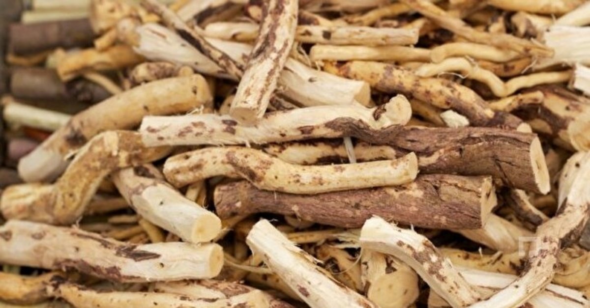 Tek bir dal ama onlarca faydası var!