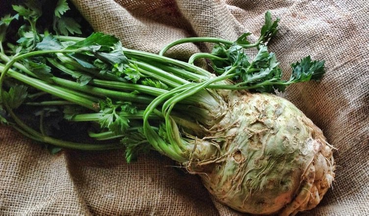 Kerevizin faydaları nelerdir? Kereviz neye iyi gelir?