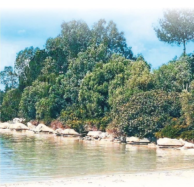 Bodrum’un gizli kalmış cennet koyu Bungalowzera