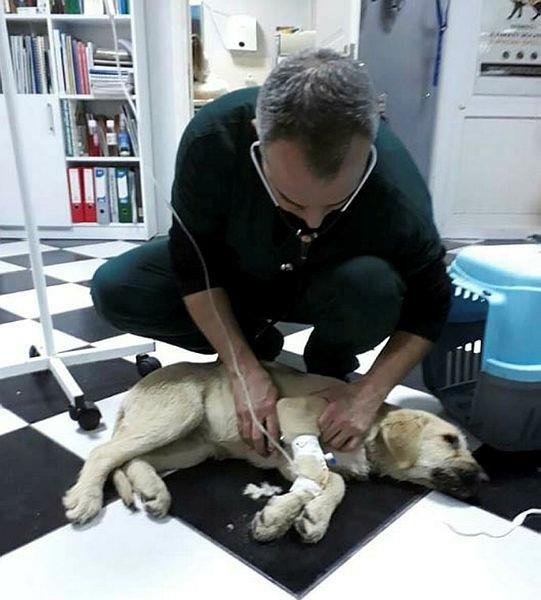 Bornova'da yürek yakan manzara!