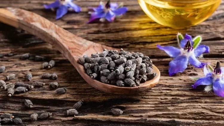 Hodan otu neye iyi gelir? Hodan otunun faydaları nelerdir?