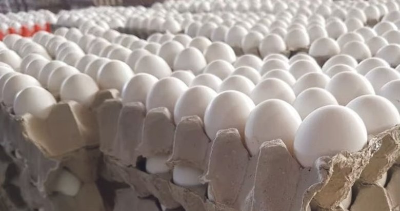 Yum-Bir Başkanı İbrahim Afyon’dan açıklama: Yumurta temininde denge sağlandı