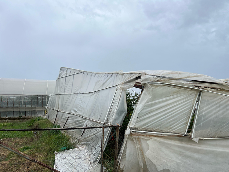 Aydınlılar dikkat! Meteoroloji’den ’sarı’ kodlu uyarı