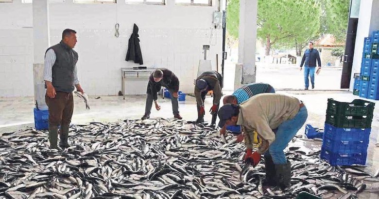 Muğla Mayıs ayında ihracatını yüzde 11 arttırdı