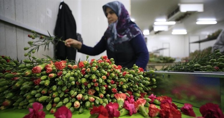 Çiçek sektörü ihracatta rekora doğru koşuyor