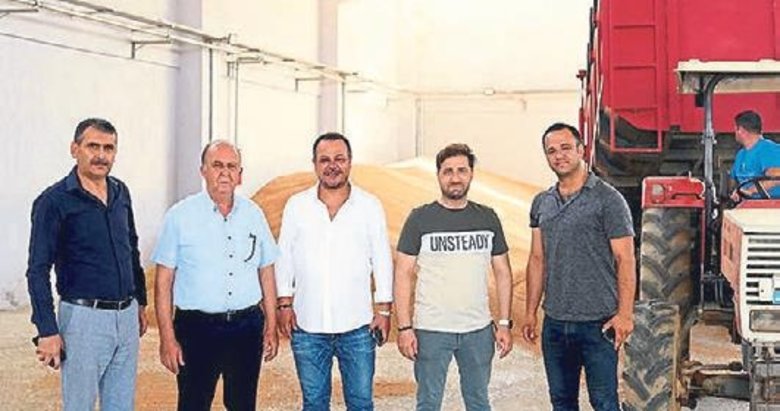 Tire TMO üreticiden buğday almaya başladı