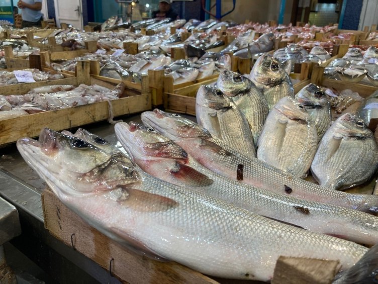 İzmir’de balık hali doldu: Bu sene bereket ve bolluk var