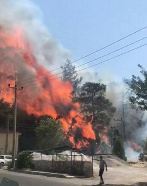 Marmaris’teki orman yangını kontrol altında! Alevler otele sıçradı evler boşaltıldı
