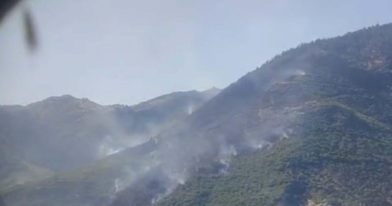 Aydın’da başlayan orman yangını 2 gündür devam ediyor