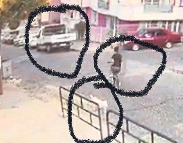 Vatandasin Korkulu Ruyasi Kopek Ceteleri