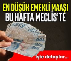 En düşük emekli maaşı bu hafta Meclis’te!