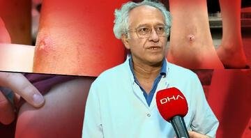 Böcek bilimcilerden Asya Kaplan sivrisineği uyarısı